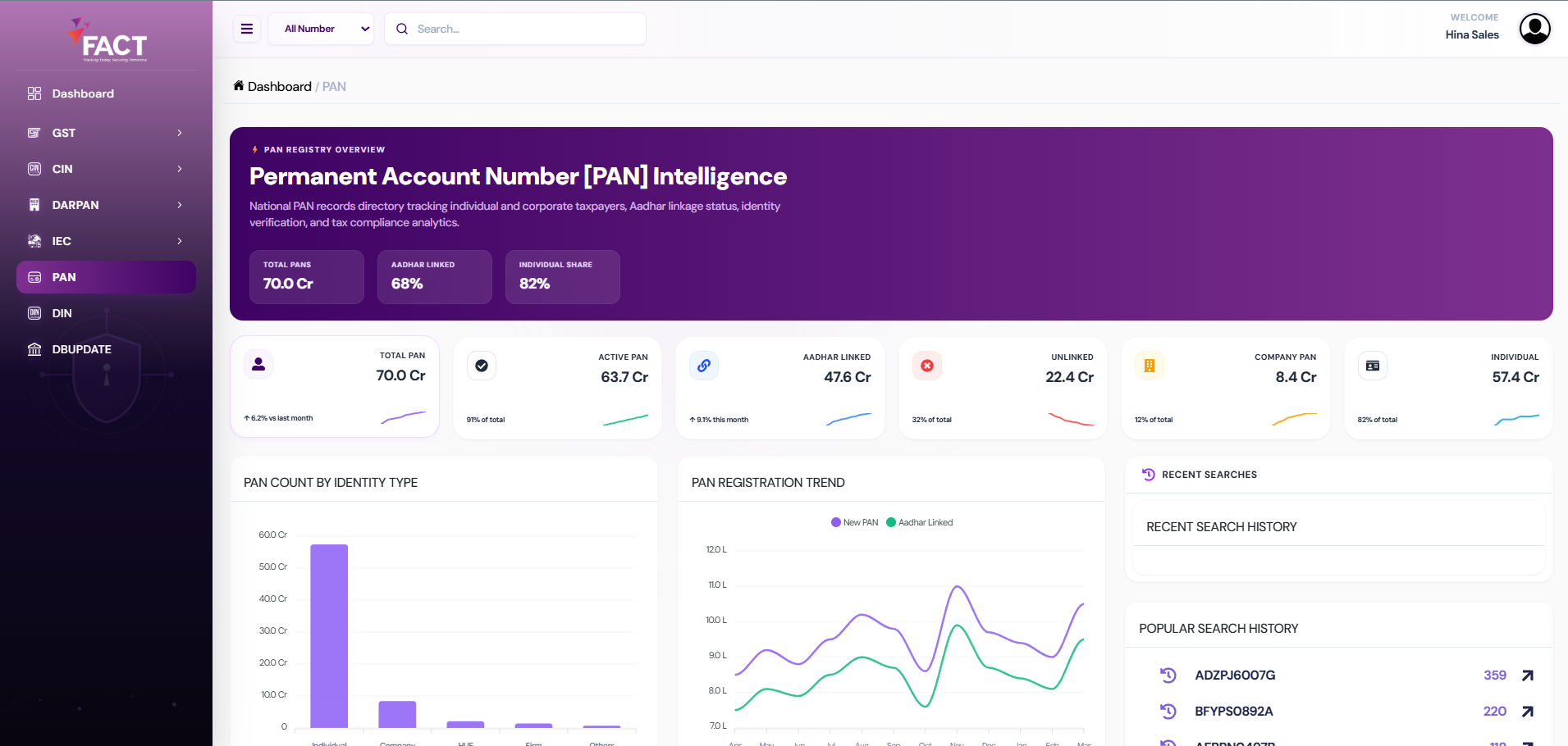 Business PAN Verification Interface